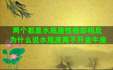 两个都是水瓶座性格却相反 为什么说水瓶座离不开金牛座